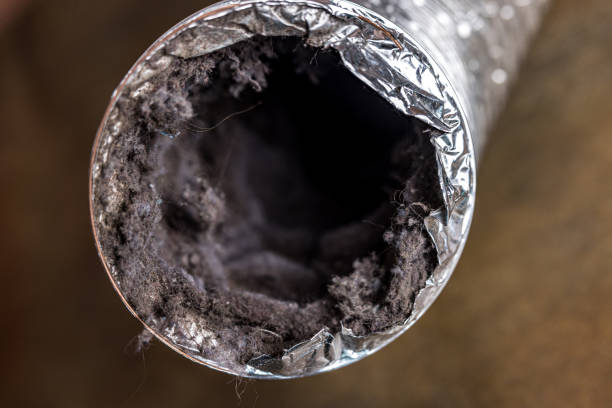 Best HVAC Duct Inspection Services  in Blue Ridge, VA